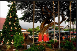 Kailua Village Holiday Tree Lighting