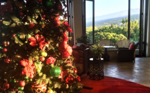 christmas tree with ocean view in background hawaii
