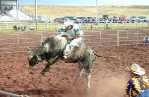 Aloha Hawaii Horse Rodeo