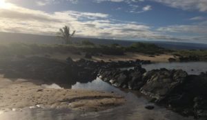 Hawaii Island Beach