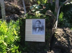 king kamehameha III sign in forest