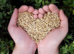 hands shaped in a heart and filled with grain