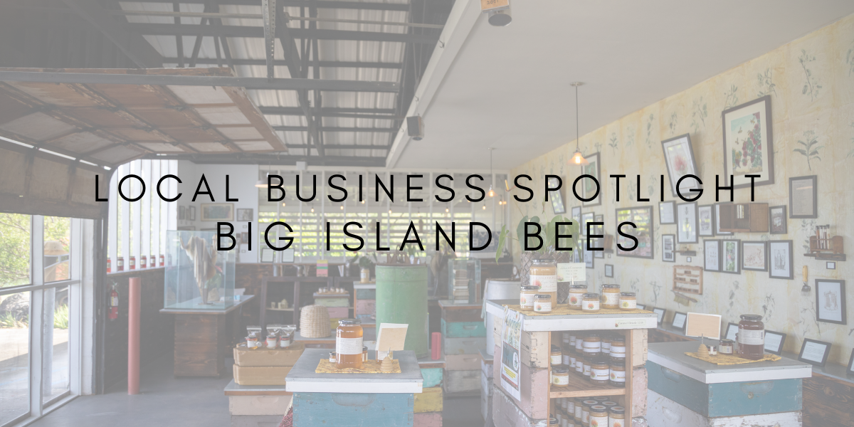 Local Business Spotlight: Big Island Bees