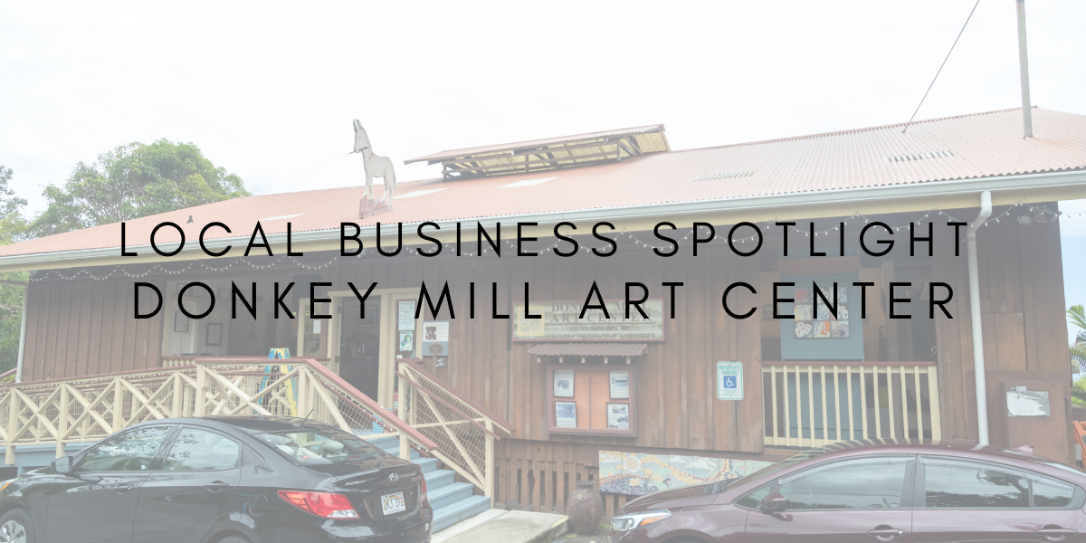 Local Business Spotlight: Donkey Mill Art Center