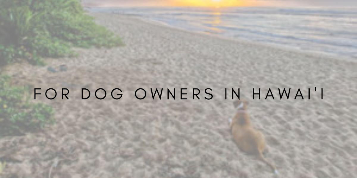 A Post For Dog Owners in Hawaiʻi