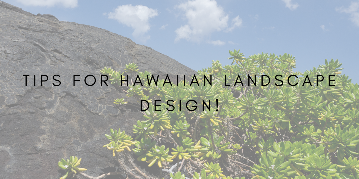 Tips for Hawaiian Landscape Design!